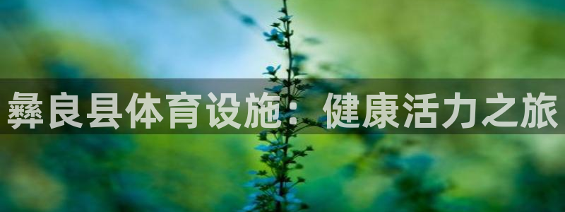 尊龙凯时发展历程