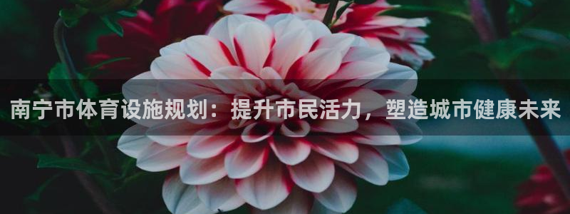 z6com尊龙凯时
