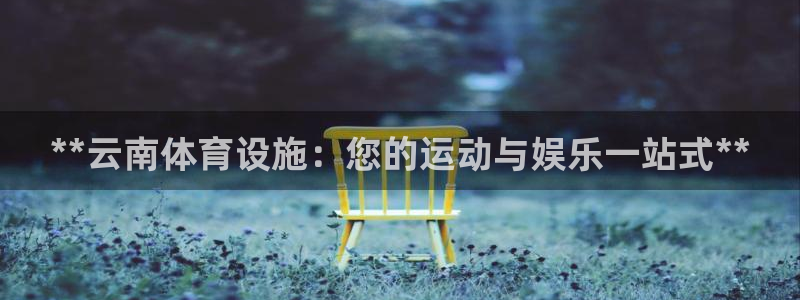 尊龙官网手