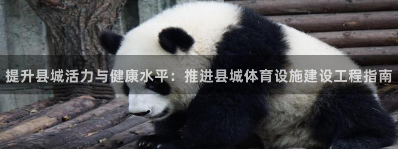 尊龙凯时人生就是搏技术实力