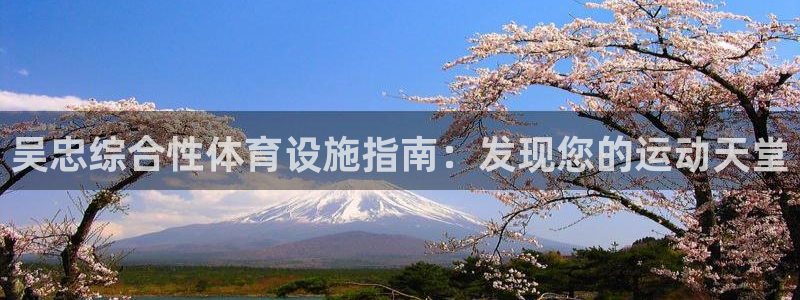 尊龙凯时下载官方正版
