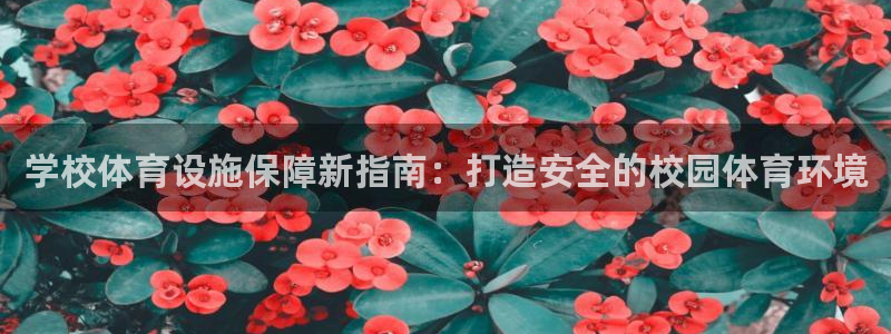 尊龙app最新版本官网