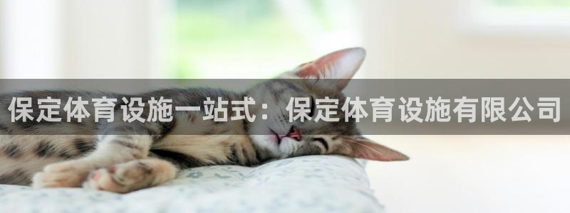 尊龙凯时的钱能退回来吗