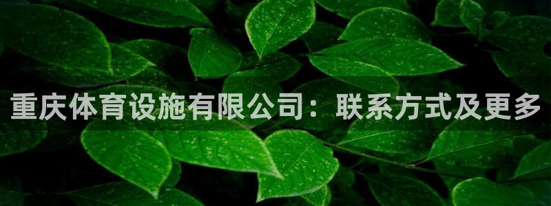 尊龙凯时城游戏官网