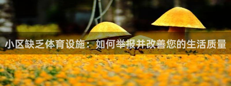 尊龙t600怎么样