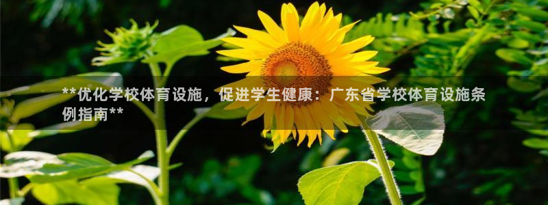 尊龙凯时合法吗?