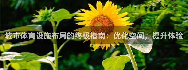 agz6尊龙凯时集团