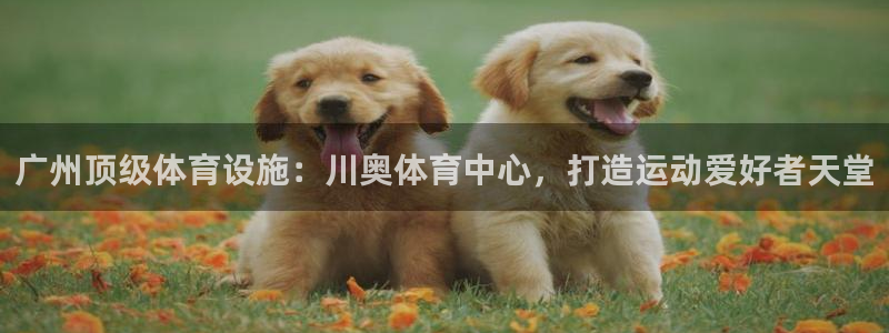 尊龙人生就是博ag
