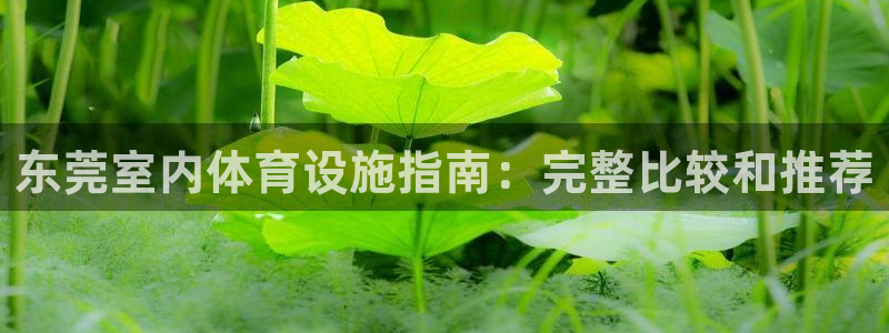 尊龙实业 吴友良