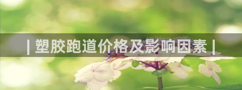 尊龙网站 人生就是博