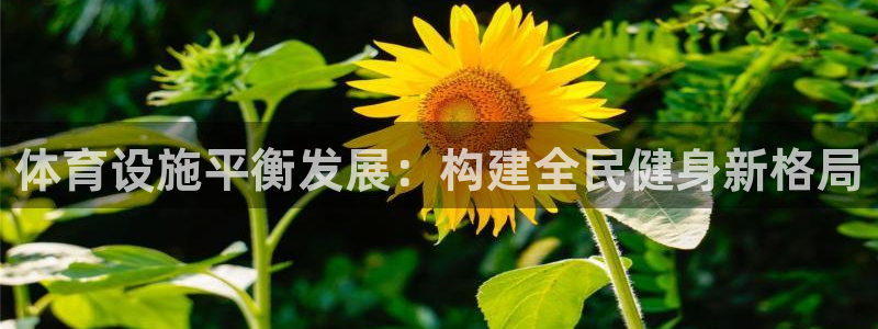尊龙AG发财网