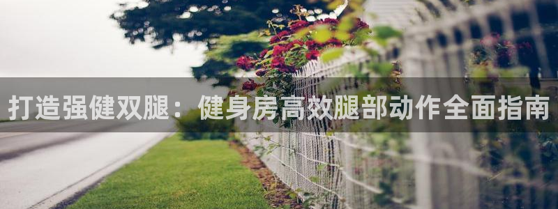 凯时登录平台去AG发财网