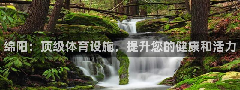 尊龙凯时平台还是万搏好