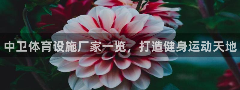 尊龙官网网页版