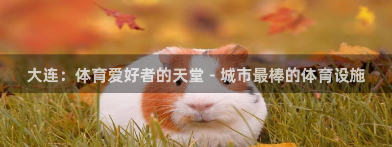 尊龙凯时人生就是搏官