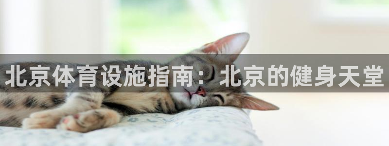 ZL尊龙凯时平台