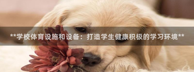 尊龙凯时人生就是搏官方网站