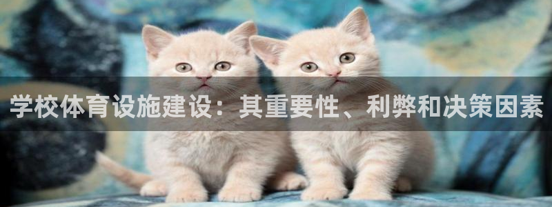 尊龙手机端下载