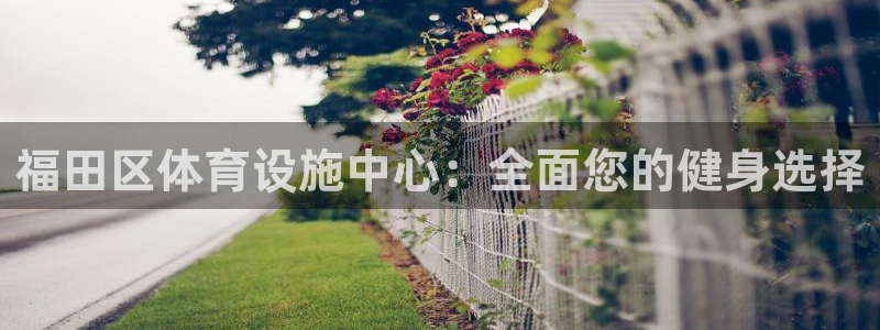 尊龙凯时logo