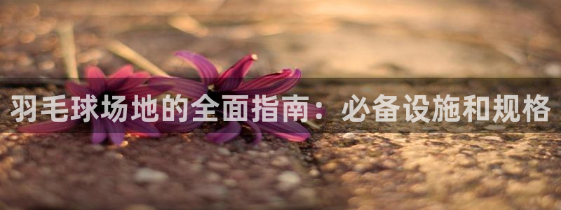尊龙游戏官方网
