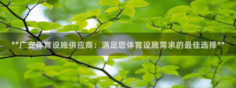 凯时网上官方网站