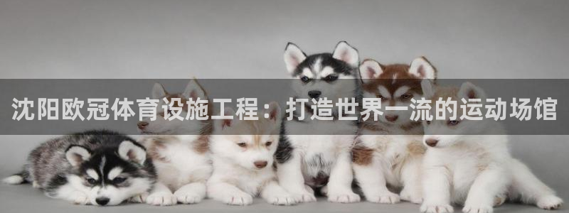 凯时国际娱乐官方网址