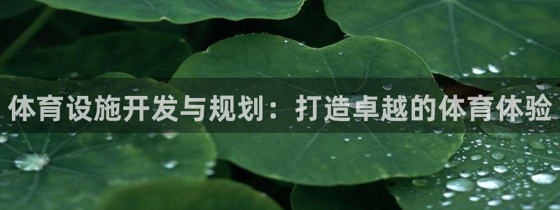 凯时ag旗舰厅网址是什么