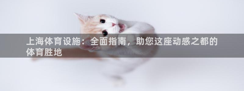 z6尊龙z6