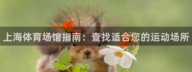 ZL尊龙凯时集团