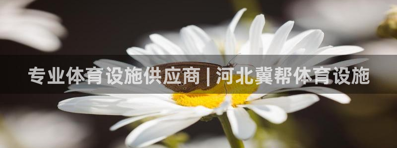 尊龙凯时和九游会哪个平台好一点