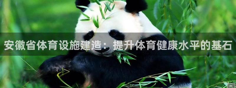 尊龙人生就是博登陆