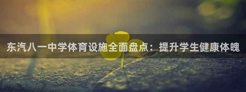尊龙物流怎么样