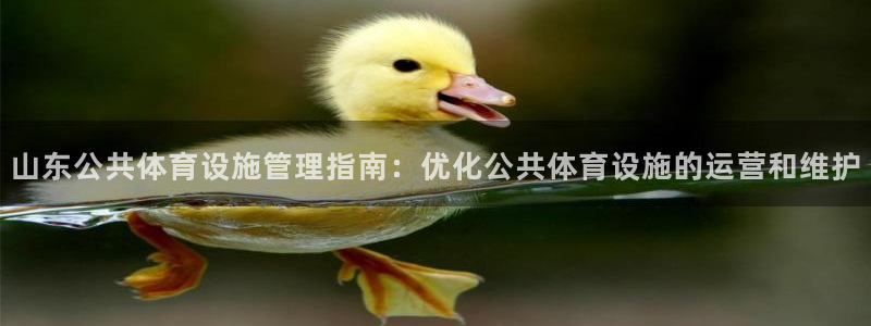 尊龙d88官网可靠送38元
