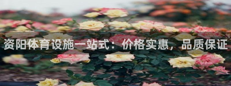 尊龙凯时家居是品牌吗