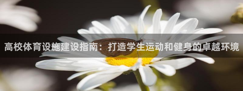 尊龙用现金娱乐一下下载旧