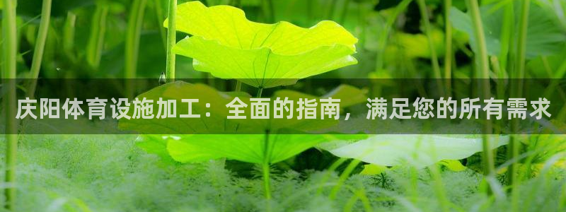 尊龙凯时官网网页版