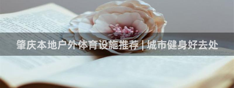 ag尊龙凯时集团