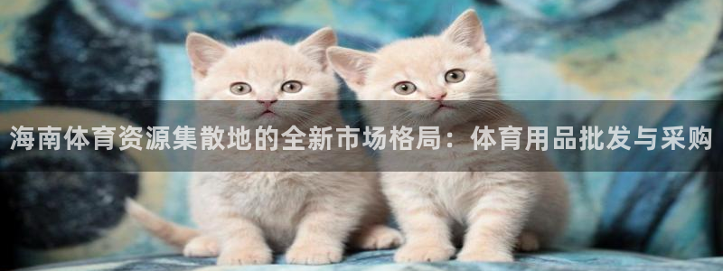 z6尊龙凯时旗