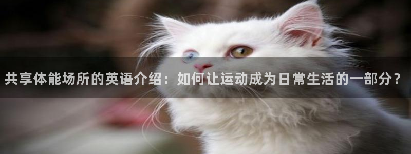 尊龙凯时怎么注销账号
