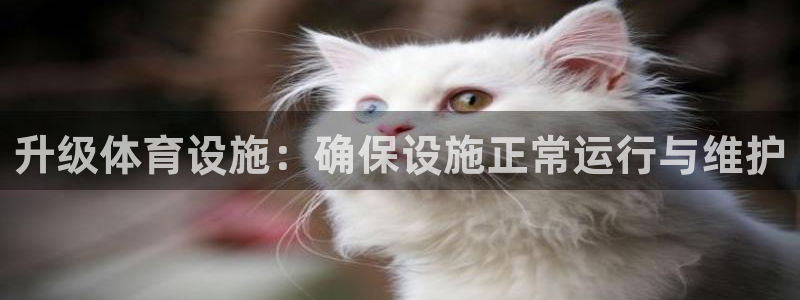 尊龙人生就是博d88 - Z6尊龙官方网站