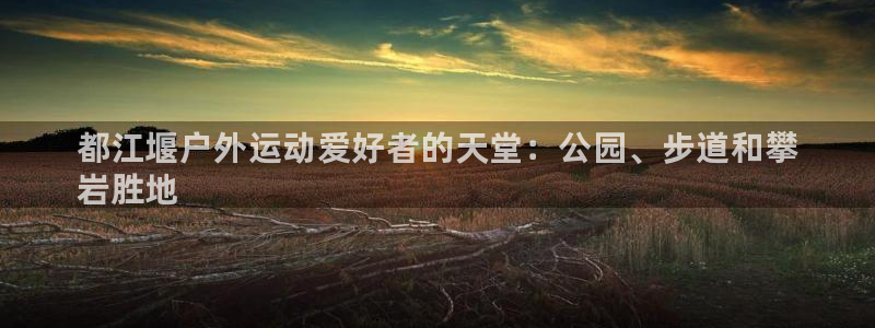 尊龙人生就是博l
