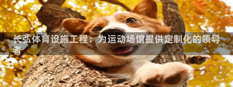 尊龙手机端下载