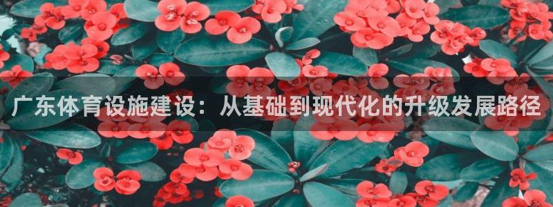 尊龙凯时网站登录