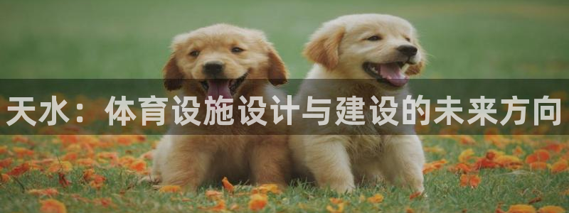 尊龙凯时网娱乐最新版下载