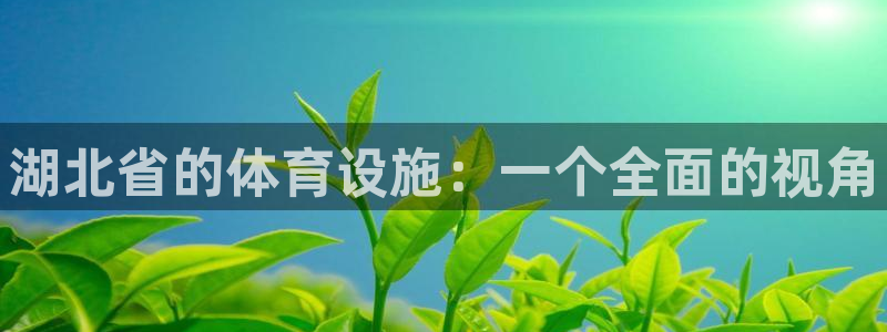 尊龙t300和t400哪个好