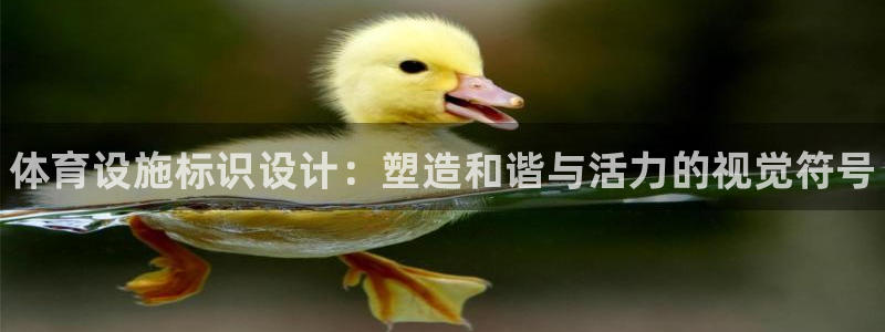 尊龙凯时官网入口