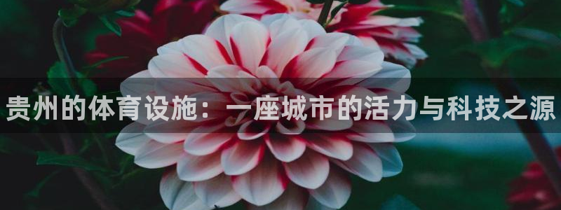 尊龙凯时ag旗舰厅官方网站